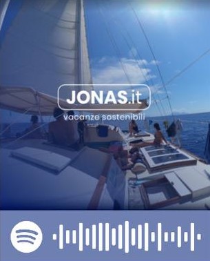 Discover the Spotify playlist with Jonas