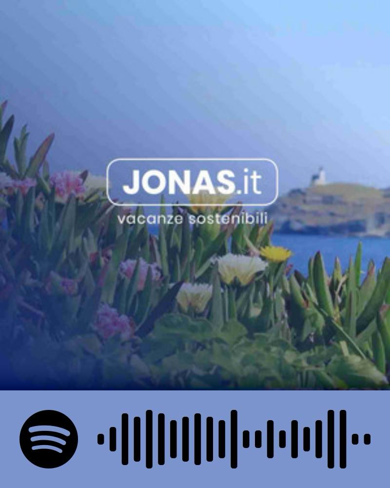 Scopri la playlist Spotify con Jonas