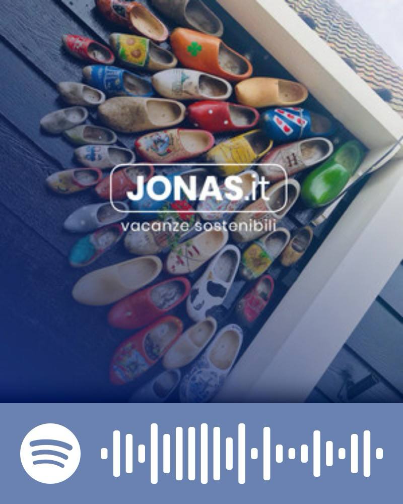 discover the AMSID Spotify playlist